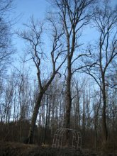 IMG_1-600.jpg
