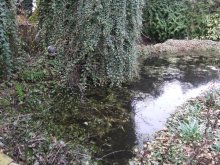 DSCF0199.jpg