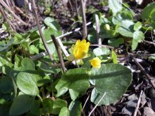 01.04.2012 006.JPG 01.04.2012 006.JPG