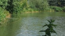 Teich.jpg