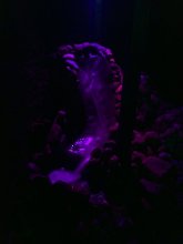 IMG354.jpg
