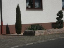 DSCF3400.JPG