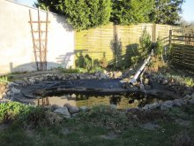 IMG_2199.jpg
