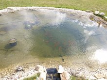 2012_001.jpg