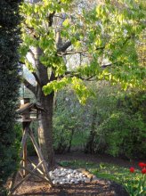 DSC08405.jpg