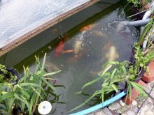 24.04.2012.1.JPG 24.04.2012.1.JPG