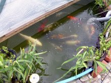 24.04.2012.JPG 24.04.2012.JPG