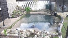 teichwasser.jpg