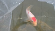 DSCI0293.jpg