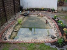 Teich_5.jpg