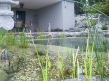 IMGP9931.jpg