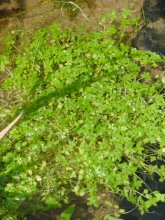 K1024_BILD0295.JPG K1024_BILD0295.JPG