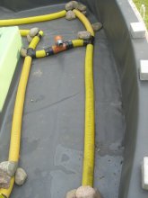 CIMG1370.jpg