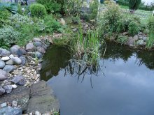 DSC00268.jpg