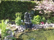 100_3528.jpg