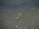 IMG_3180.JPG IMG_3180.JPG