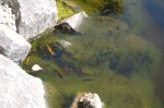 DSC_0159.jpg DSC_0159.jpg