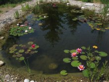 IMG_4287_1.jpg