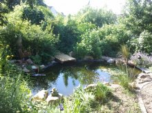 IMG_20120526_181209.jpg