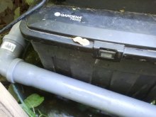 IMG_20120526_181252.jpg