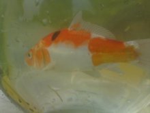 K800_002.JPG
