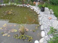 DSCN0005.jpg