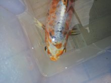 2012-06-05 15.27.11.jpg