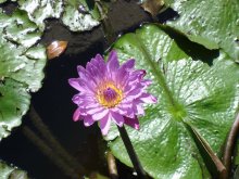 water-2197_640.jpg