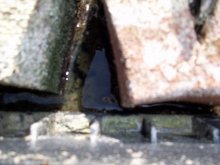 100_0560.jpg