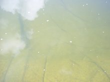 100_0568.jpg