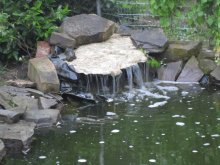 IMG_1980.jpg