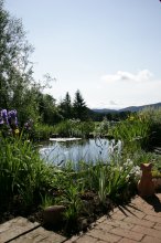 IQ3M8359_2012-06-12_Teich-II.JPG
