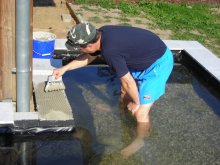 teichbau2.jpg teichbau2.jpg