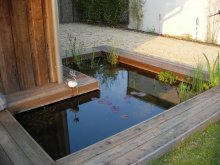 teich2010-1.jpg teich2010-1.jpg