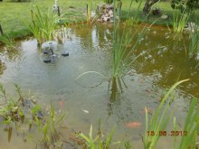DSCN0195.JPG