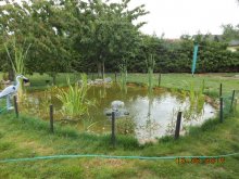 DSCN0194.JPG