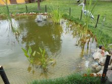 DSCN0196.JPG