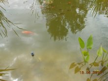 DSCN0198.JPG