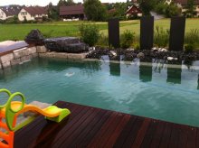 Schwimmteich_21 001.jpg