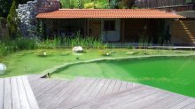 20120622_125025.jpg