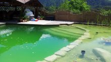 20120622_125110.jpg