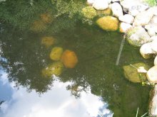 IMG_8680.jpg