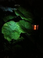 ImageUploadedByTapatalk1341091131.183854.jpg ImageUploadedByTapatalk1341091131.183854.jpg