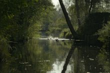 Spreewald Okt_2011 Burgk.jpg