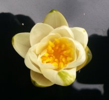 20120704_100221.jpg