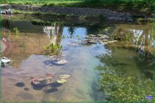 comp_IMG_20120708_2476.jpg