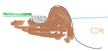 teichrand1.png teichrand1.png