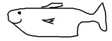 fisch.jpg