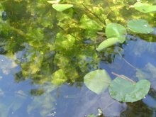 BILD1445.jpg