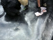 22.07.2012 023.JPG 22.07.2012 023.JPG